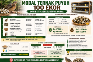 Modal Ternak Puyuh 100 Ekor dan Estimasi Keuntungannya